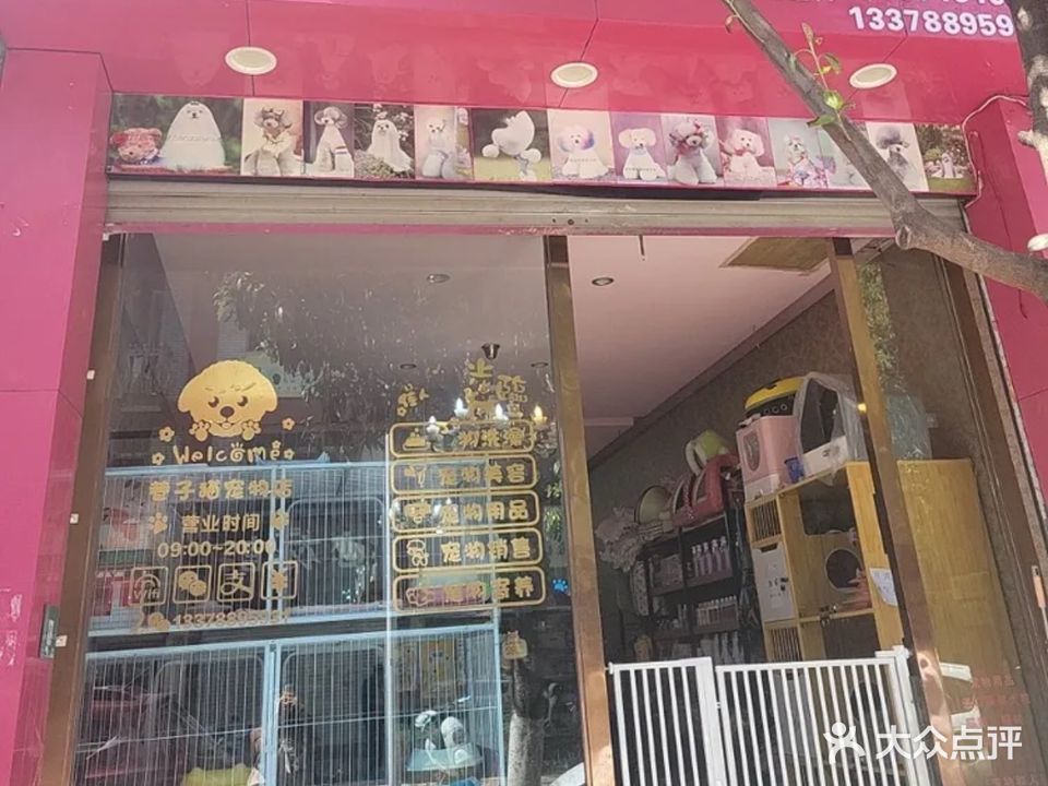 巷子猫宠物造型设计工作室