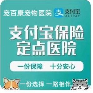 宠医生宠百康宠物医院·犬猫专科·骨科急重症中心