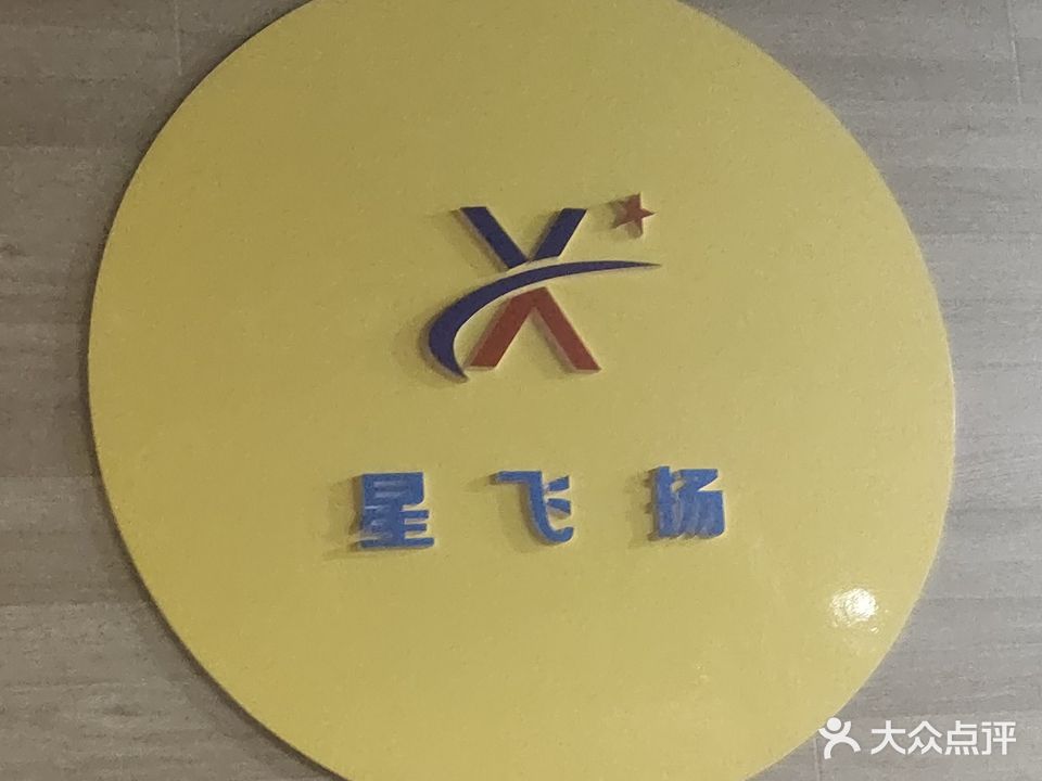 星飞扬乒乓球台