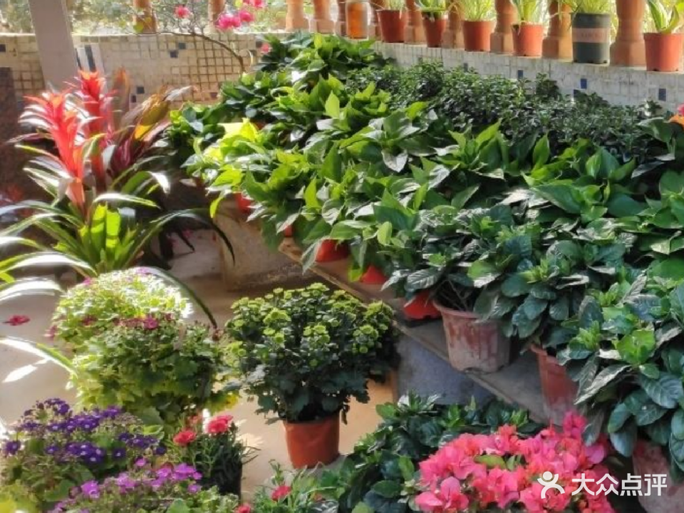 四季花圃