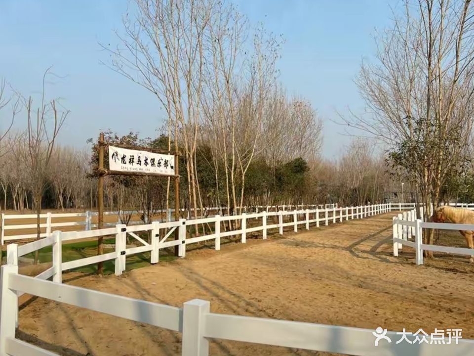 龙祥马shu俱乐部