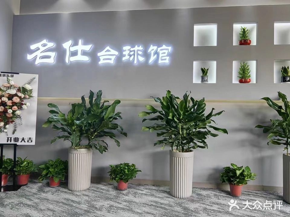 名仕桌球俱乐部(军民路店)