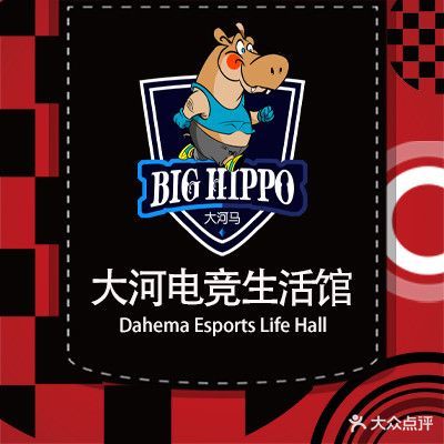 大河马网咖