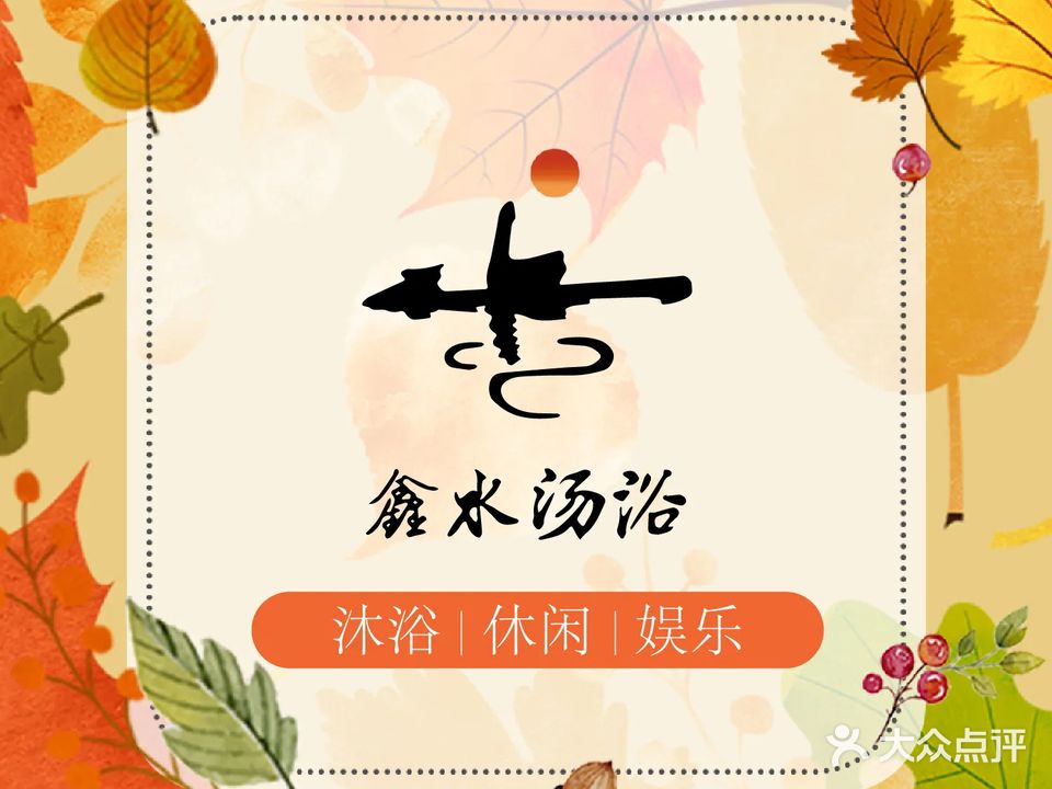 鑫水汇松骨