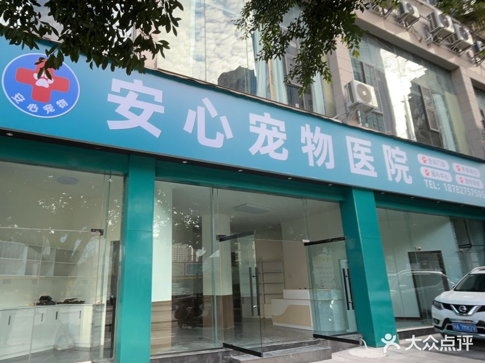安心动物诊所