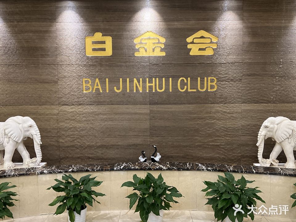 白金会娱乐会所