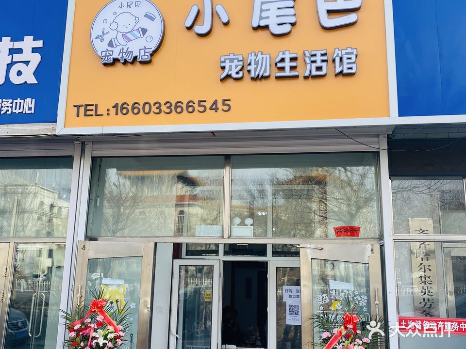 小尾巴宠物生活馆(中华路店)