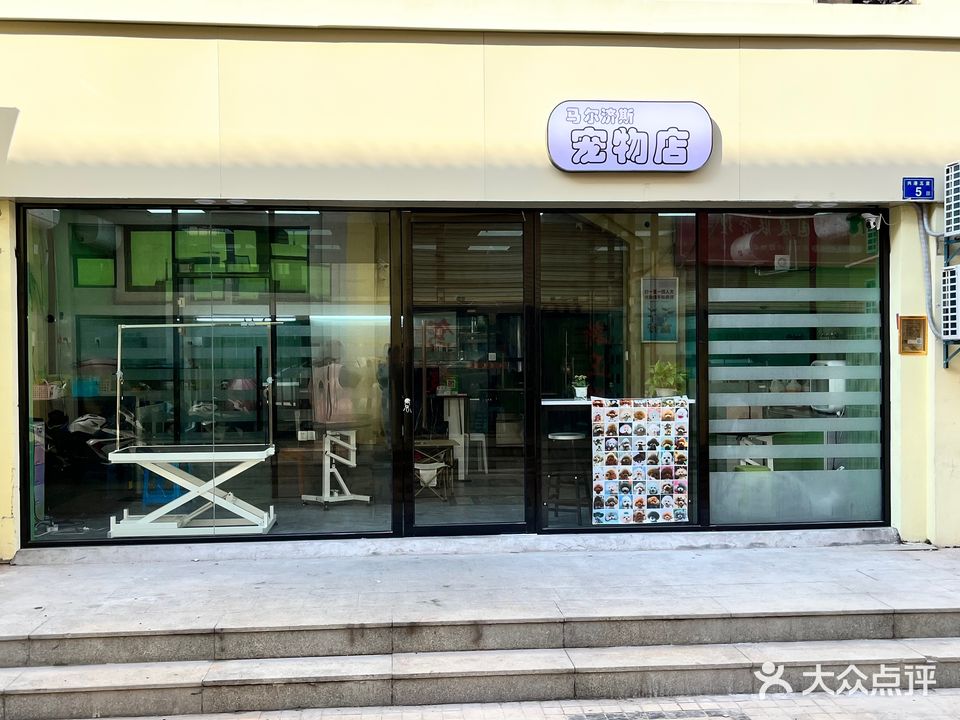 马尔济斯宠物店