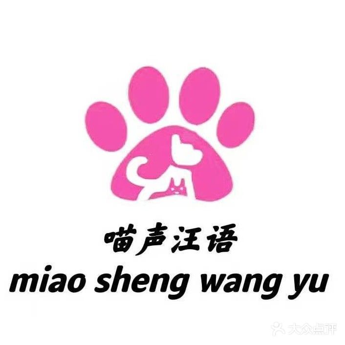 喵声汪语宠物店