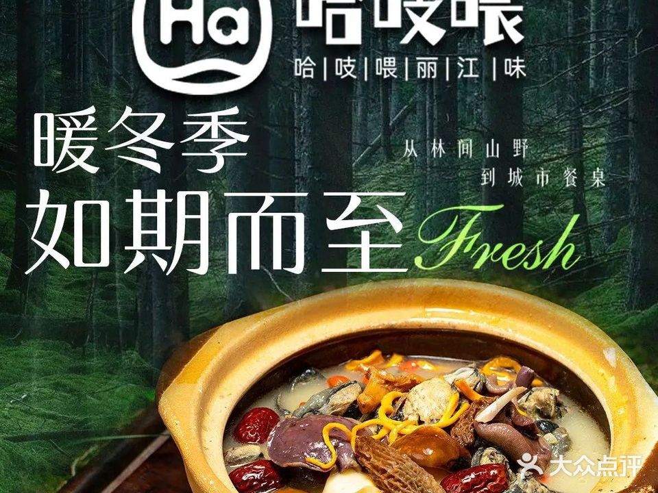 哈吱喂云南野生菌(湘潭店)