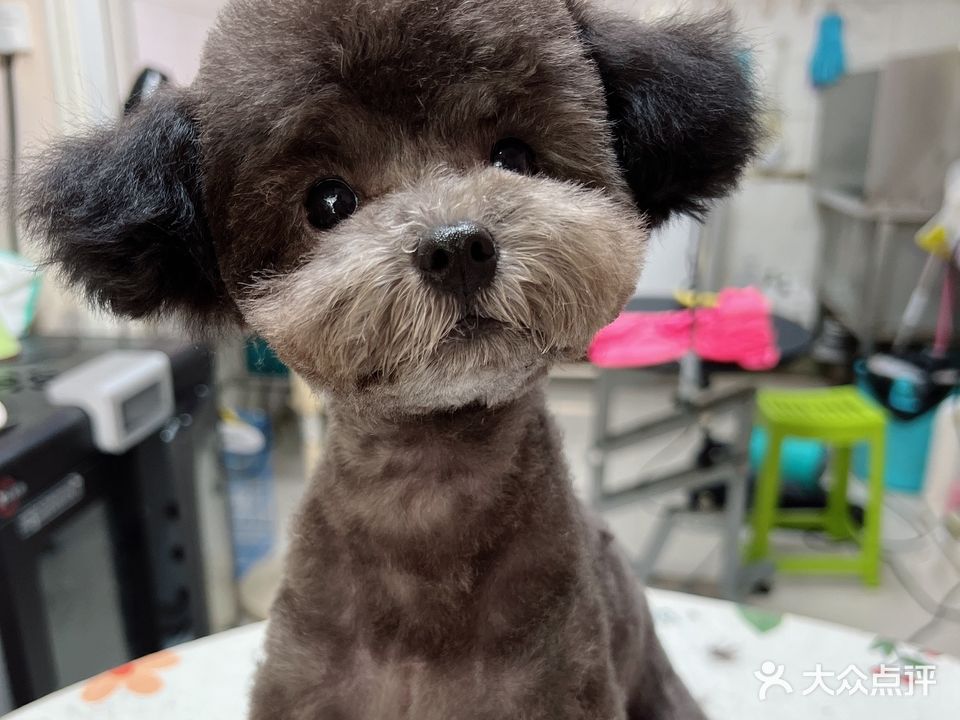 艾迪萌宠生活馆
