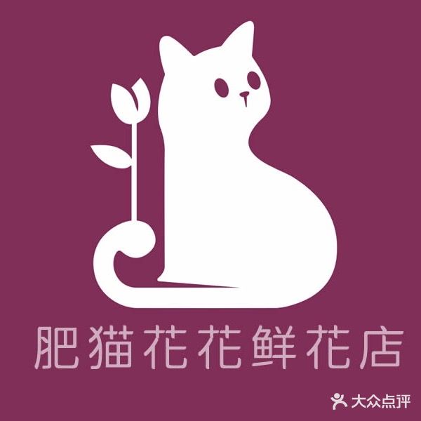 肥猫花花花艺
