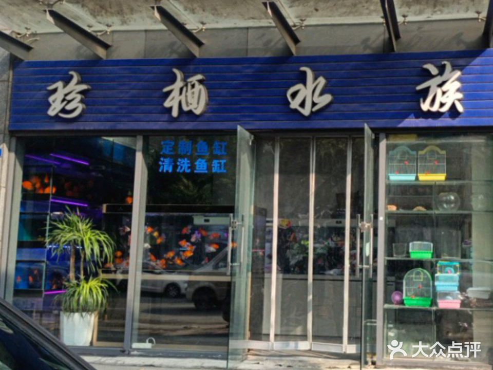 珍栖水族(华邑·阳光里店)