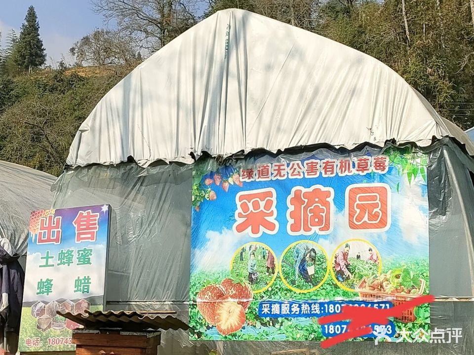 绿道草莓采摘园