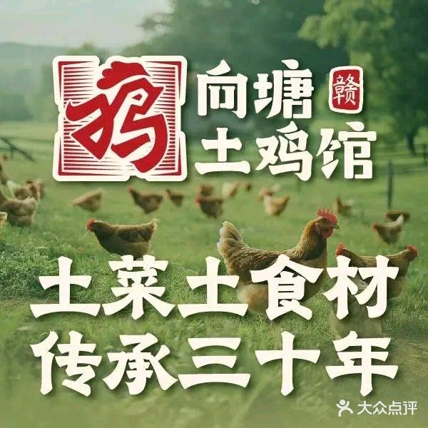 向塘土鸡总店(福州路店)