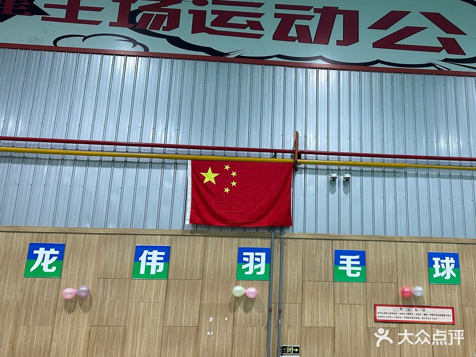 龙伟羽毛球学校