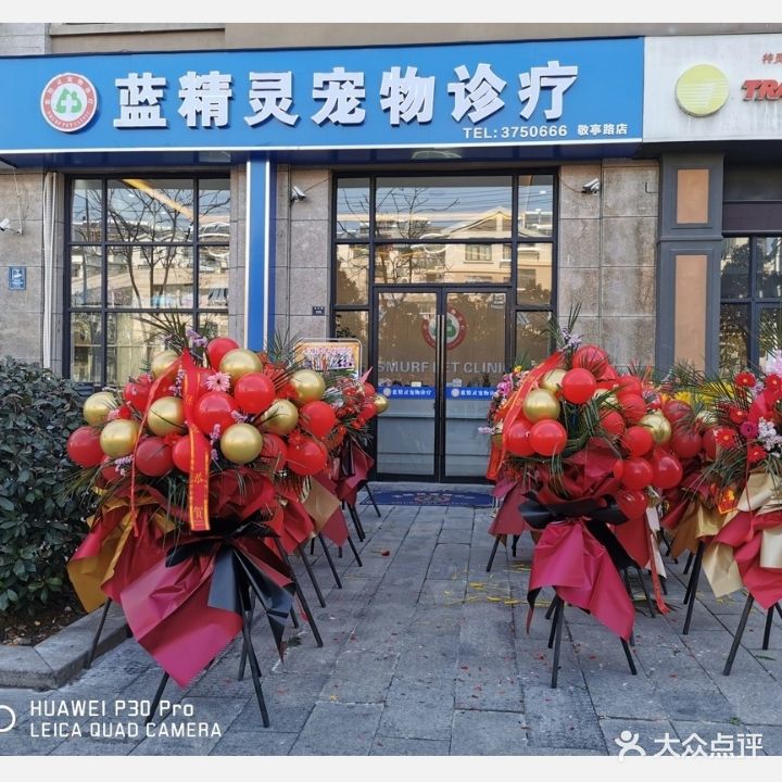 蓝精灵宠物诊疗(敬亭路店)