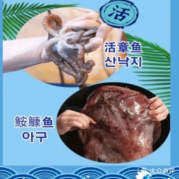 味焖村庄安康鱼章鱼韩食店