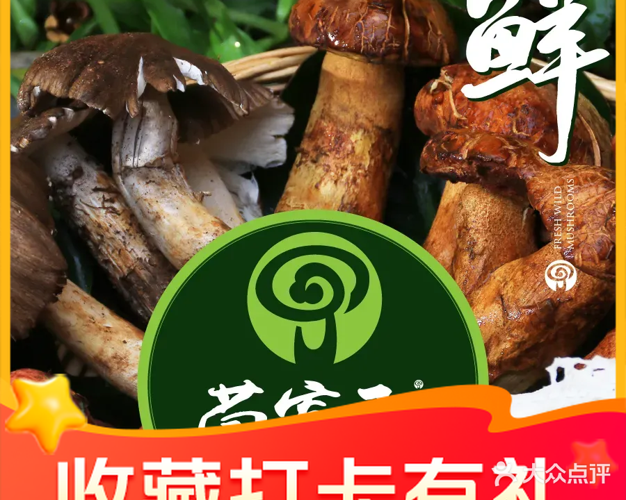 菌窝子·野生菌花园餐厅(五一街店)