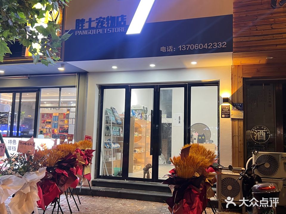 囤吓七胖宠物店