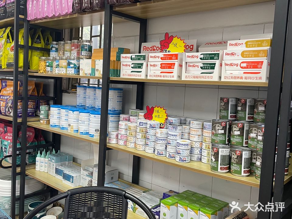 天后宠物店