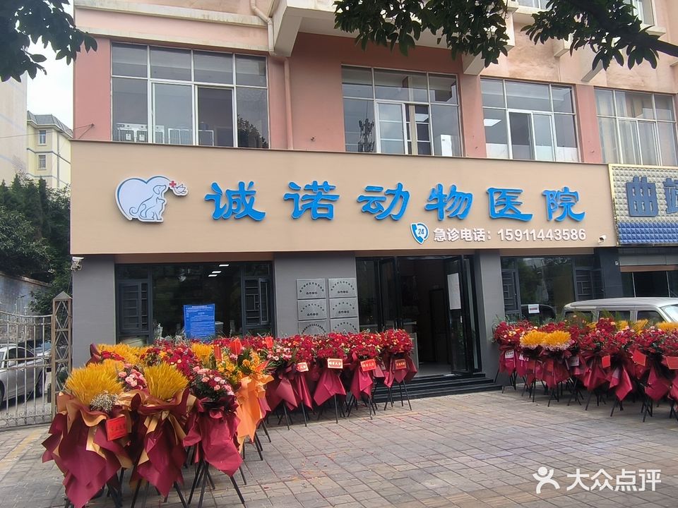 诚诺动物医院