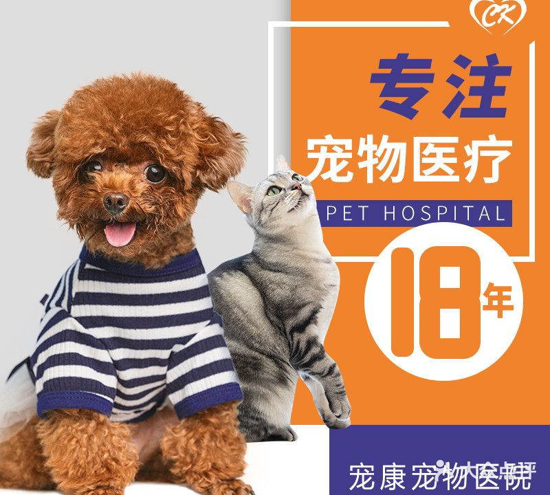 宠康宠物店医院(青城公园店)