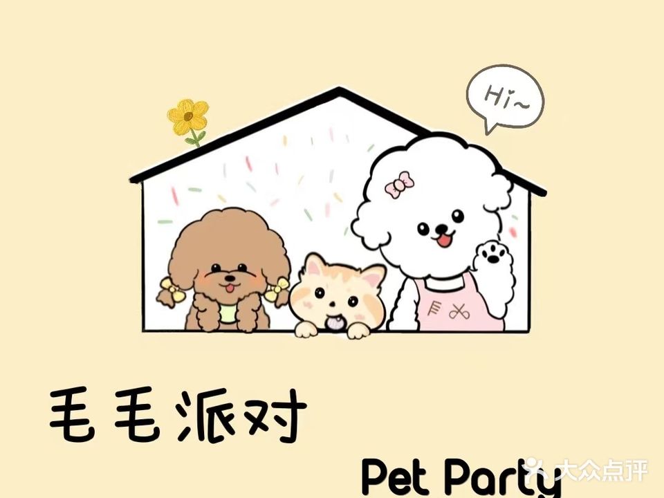 毛毛派对宠物造型沙龙