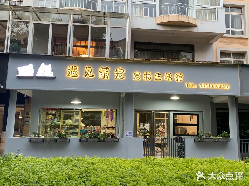 遇见萌宠宠物生活馆(龙湖园店)