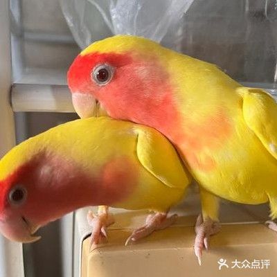 崇尚美发养发沙龙
