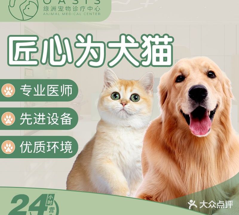 绿洲宠物诊疗中心