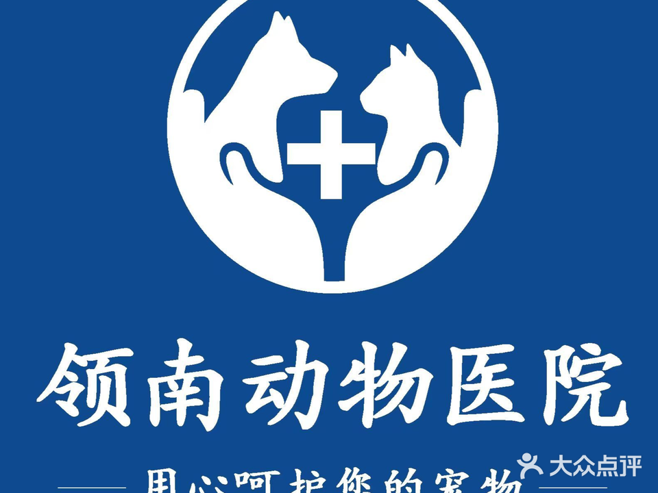 领南动物医院24小时·犬猫专科