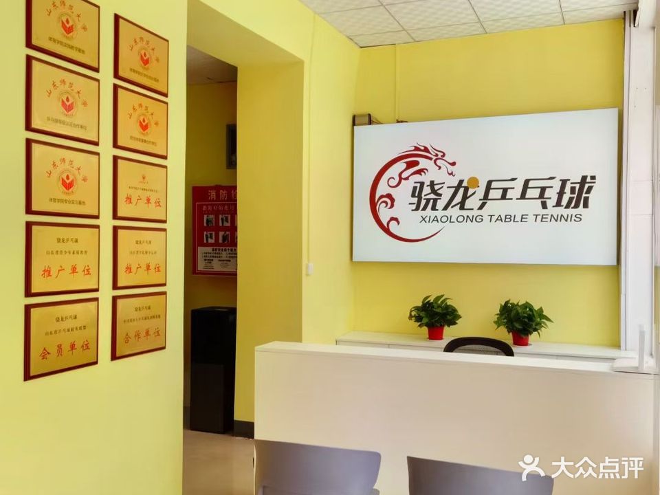 骁龙乒乓球(涵翠苑校区)