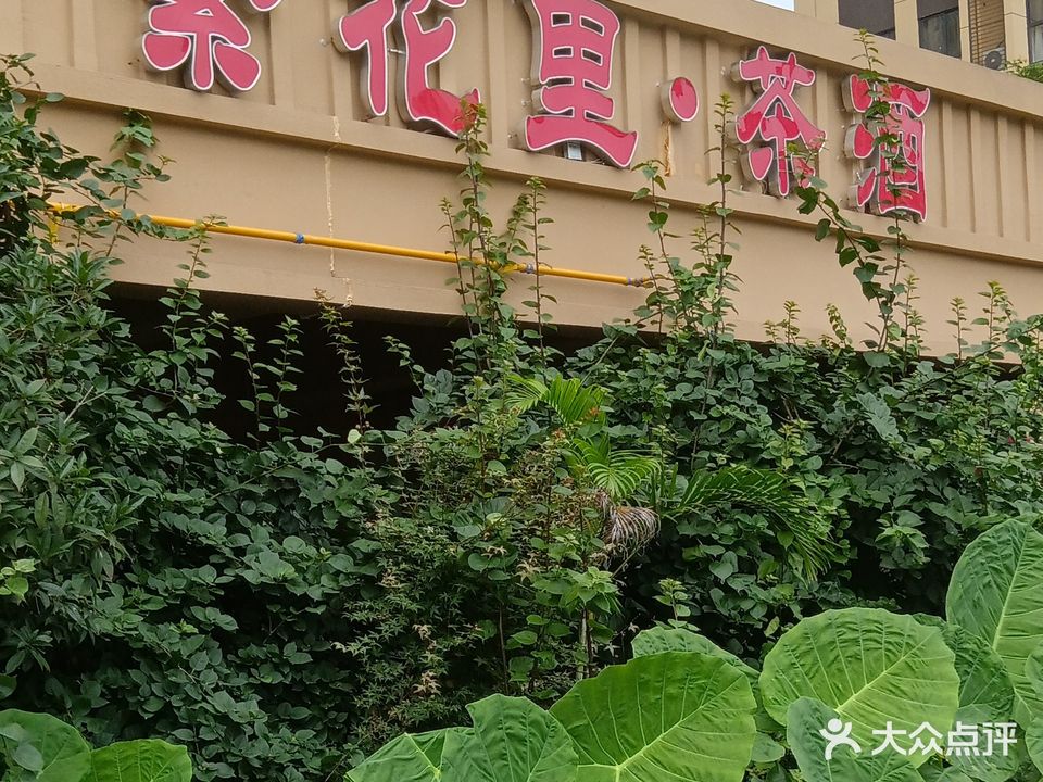 繁花里茶酒(福鼎白茶)