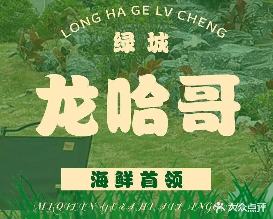 绿城龙哈哥