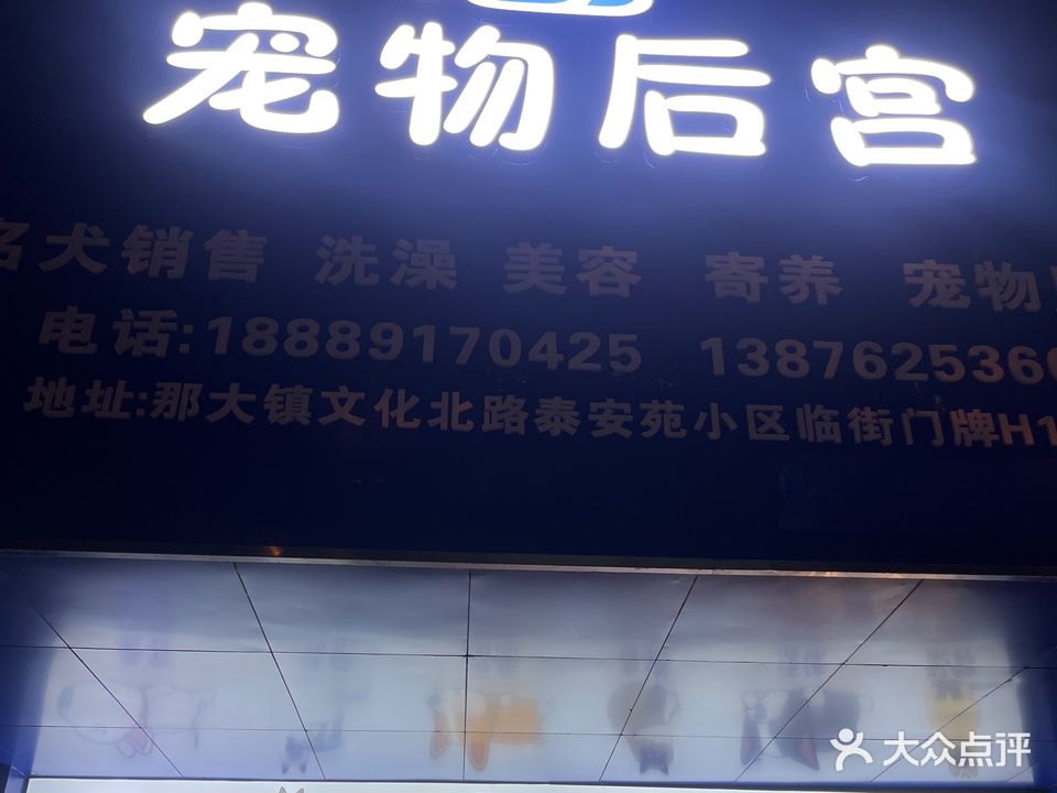 宠物后宫(易鸿泰安苑店)