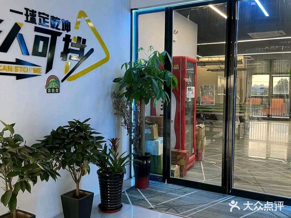 变色龙太球(远大店)