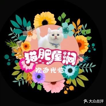 猫肥屋润宠物店·撸猫