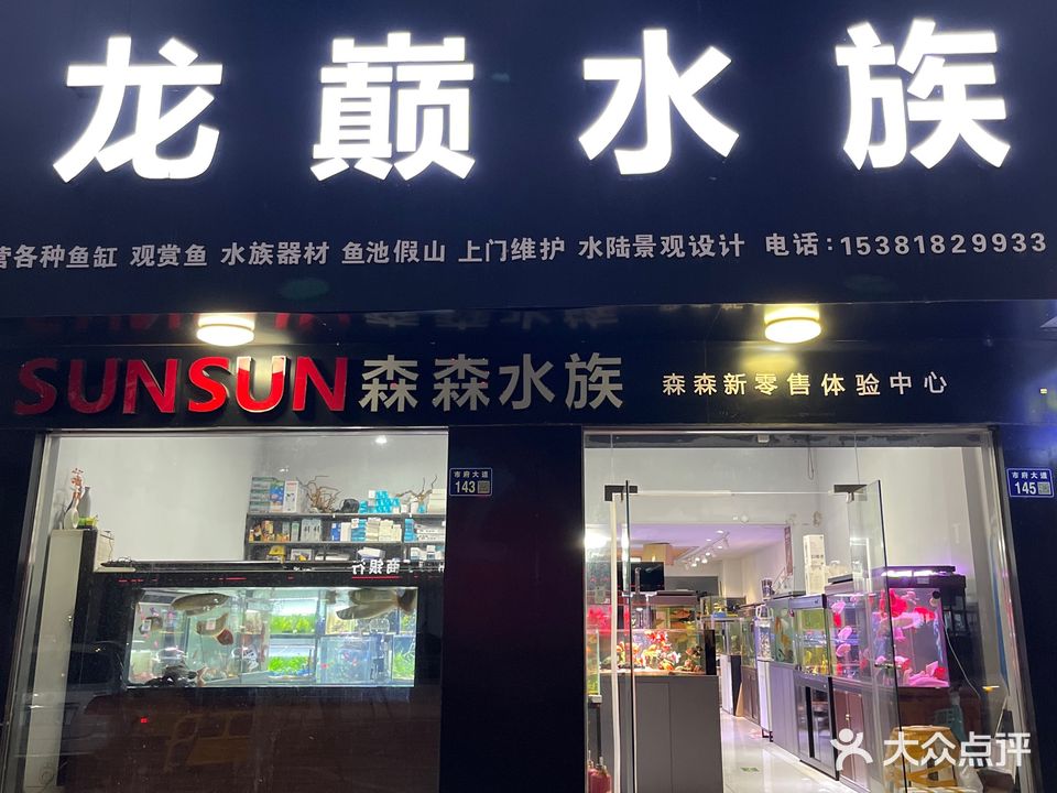 龙巅水族