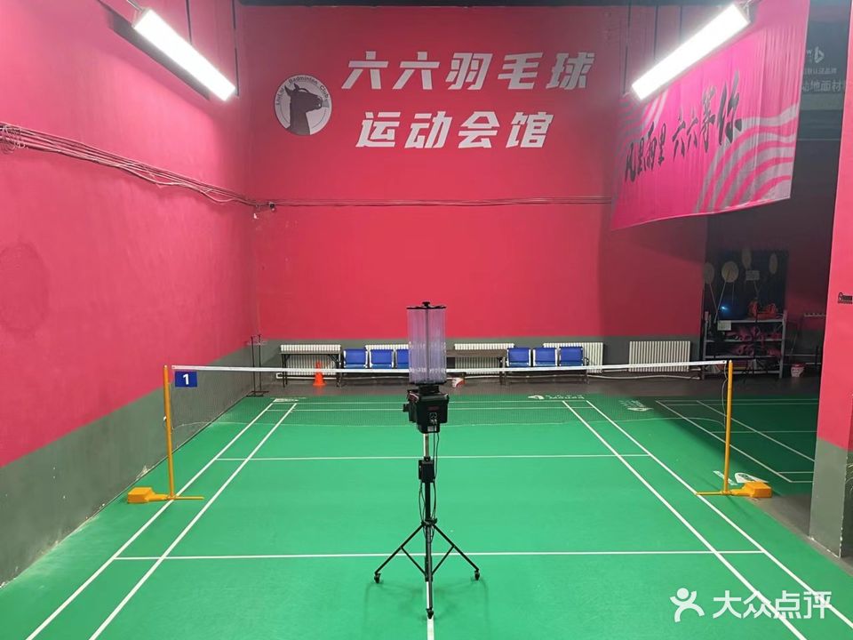 六六羽毛球