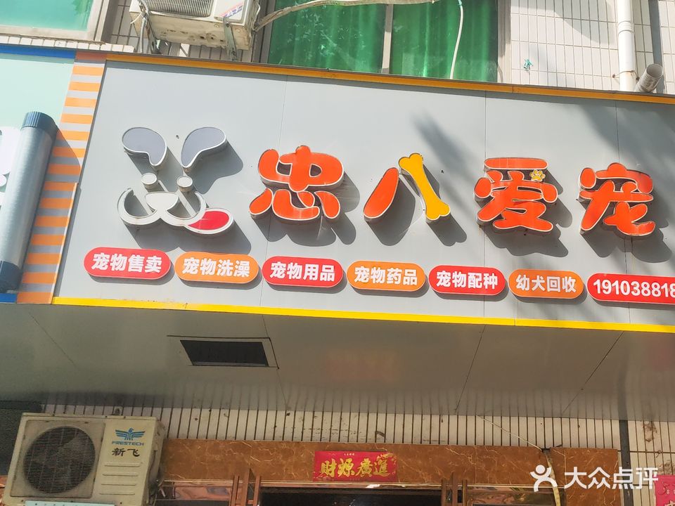 忠八爱宠