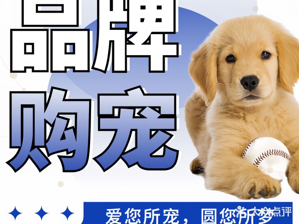 鲁宠天下市北店·幼猫幼犬专售