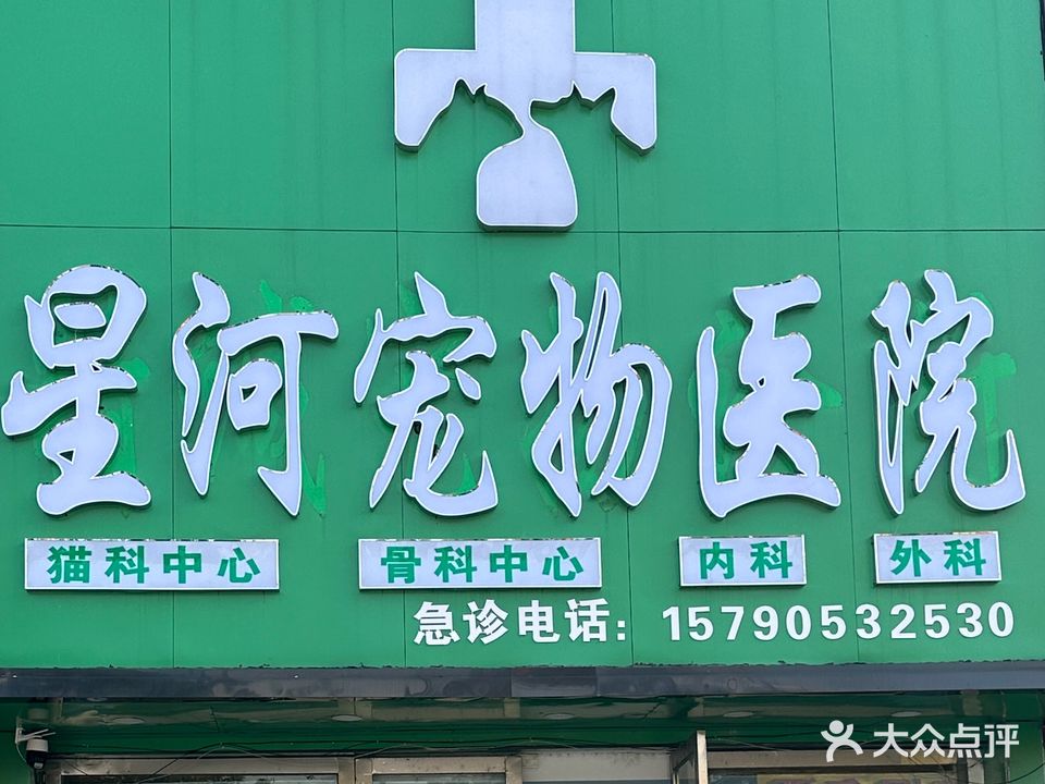 星河宠物医院转诊中心(利辛店)