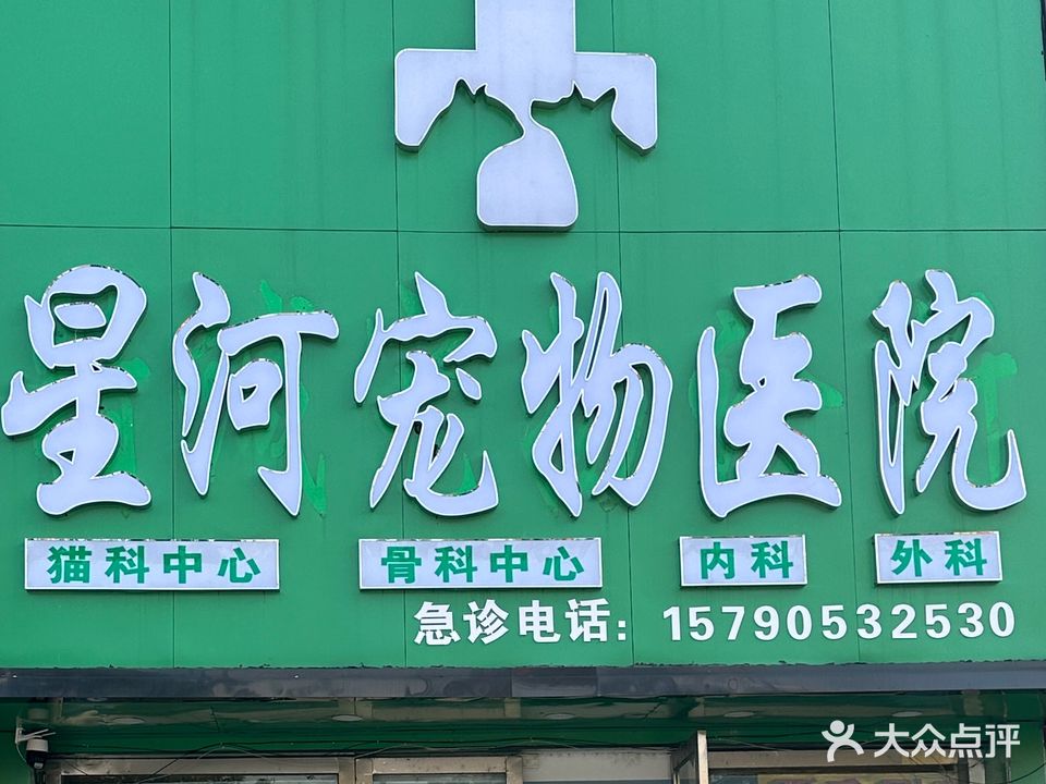 星河宠医院转诊中心(利辛店)