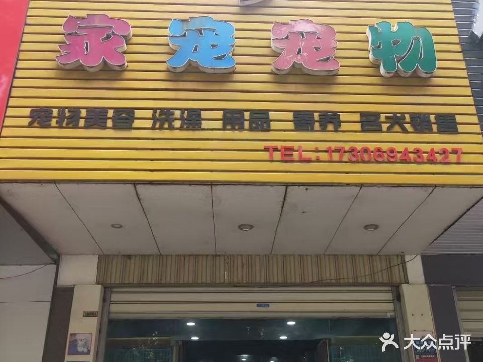 家宠宠物(福海阳光店)