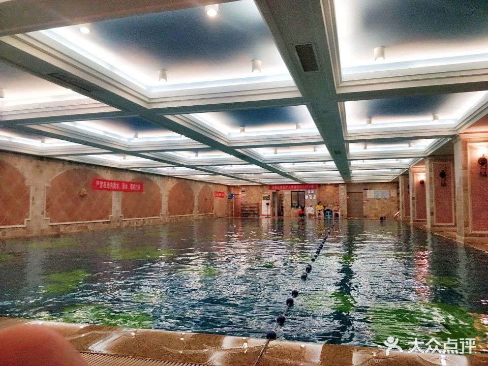 飞鱼山水艺墅恒温游泳馆