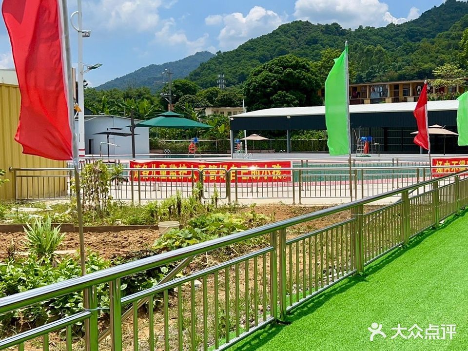 鼎泉山水游泳场