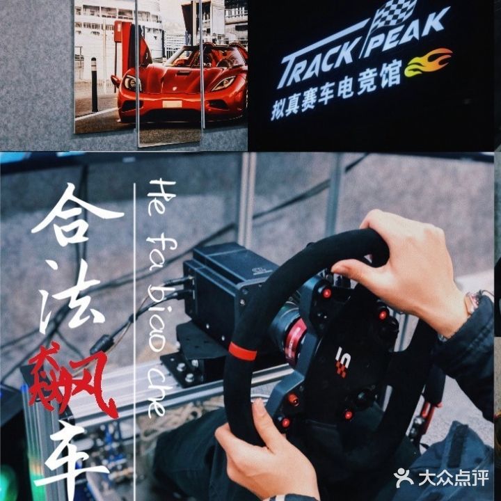 TRACK PEAK模拟赛车