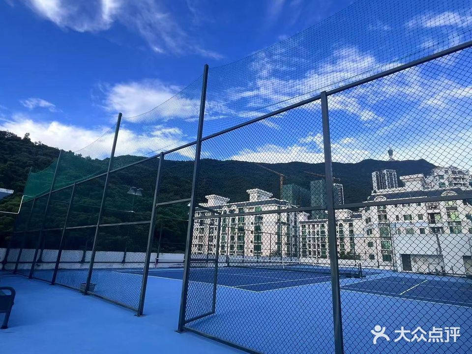 乐体网球