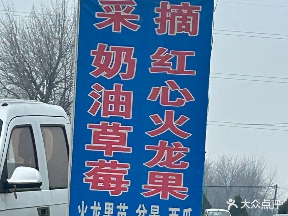 草莓火龙果采园